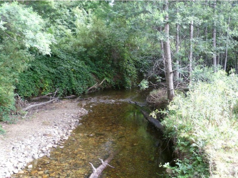 The Nook Lot 3, Lot 5, Nook Road, Nabowla TAS 7260