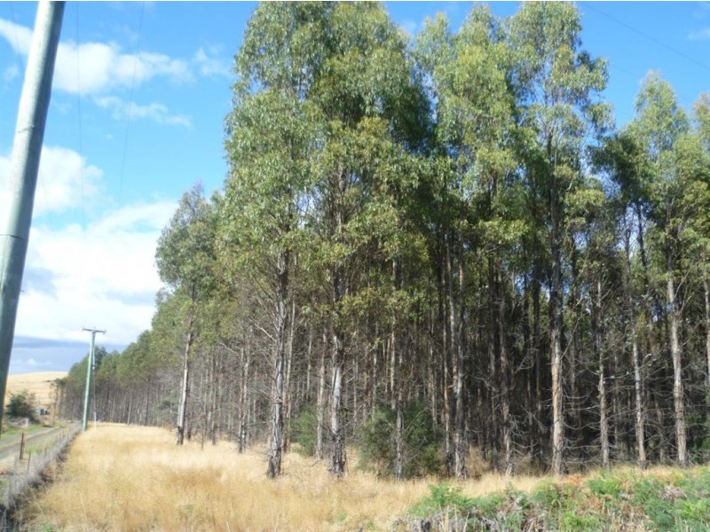 139 Bacala Road, Lebrina TAS 7254