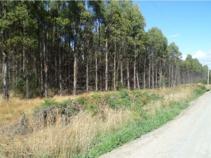 139 Bacala Road, Lebrina TAS 7254