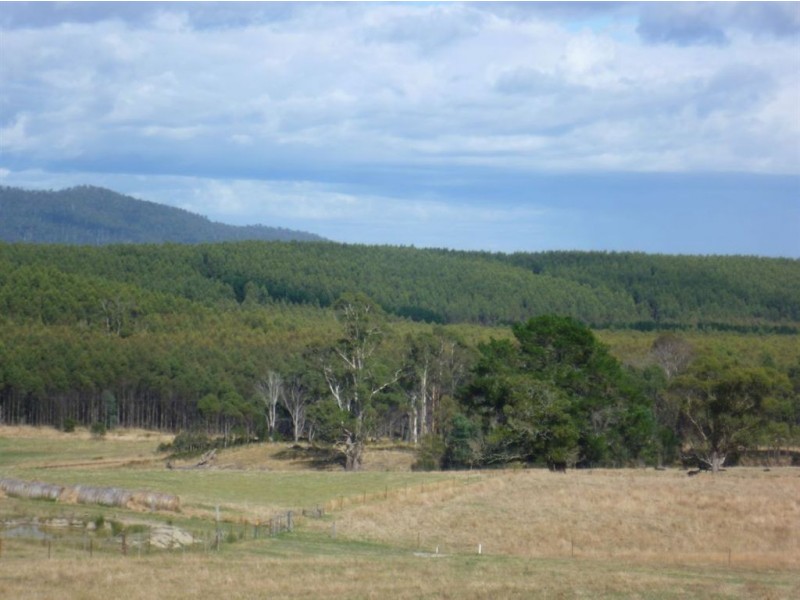 139 Bacala Road, Lebrina TAS 7254