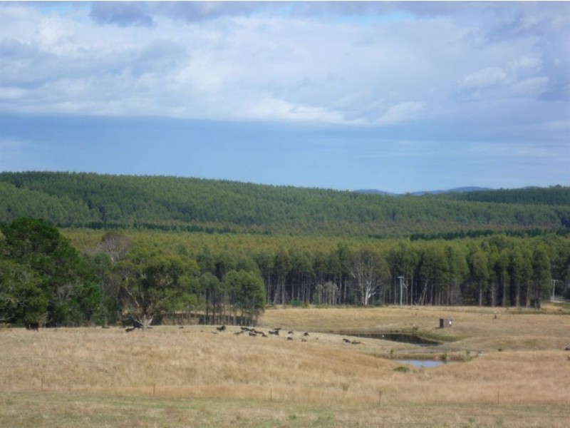 139 Bacala Road, Lebrina TAS 7254