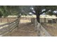 1425 Illawarra Road, Carrick TAS 7291