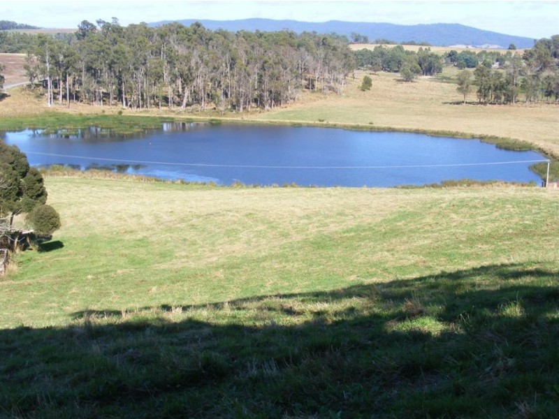 113 East Sassafras Road, Sassafras TAS 7307