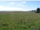 113 East Sassafras Road, Sassafras TAS 7307