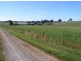 113 East Sassafras Road, Sassafras TAS 7307