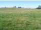 113 East Sassafras Road, Sassafras TAS 7307
