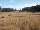 113 East Sassafras Road, Sassafras TAS 7307