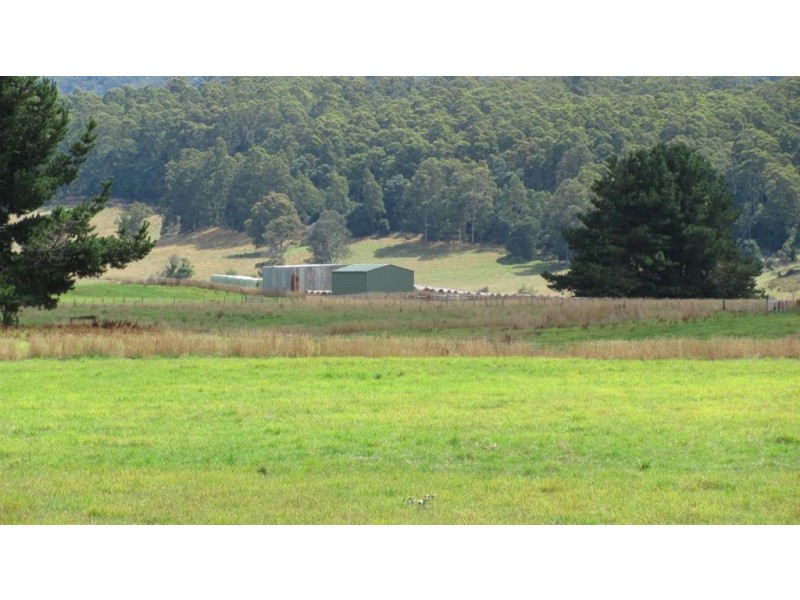 - Den Road, Mole Creek TAS 7304