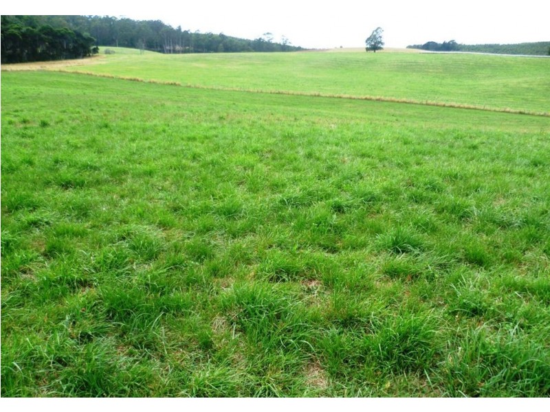 852 Beulah Road, Beulah TAS 7306