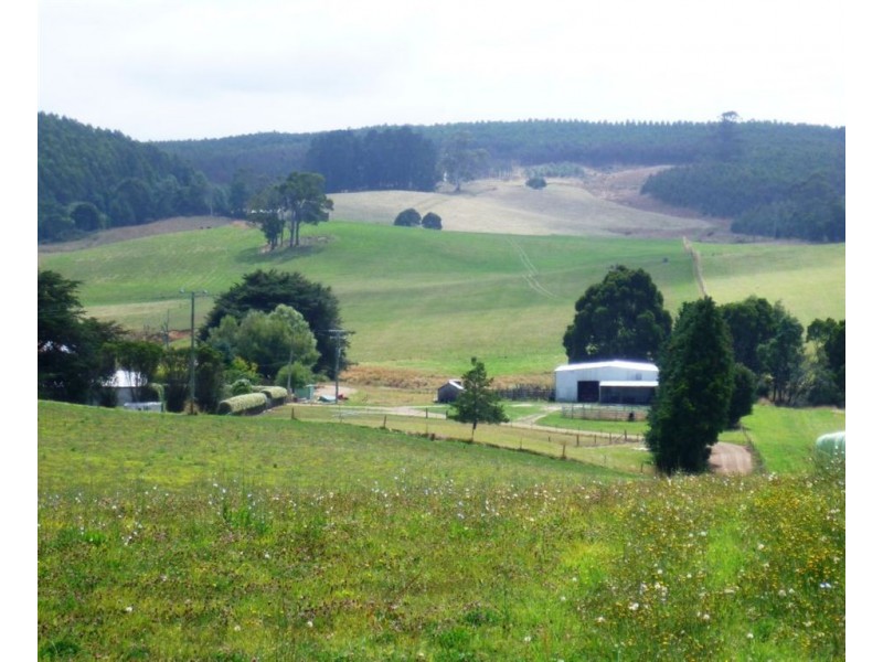 852 Beulah Road, Beulah TAS 7306