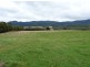 - Scotts Road, Mole Creek TAS 7304