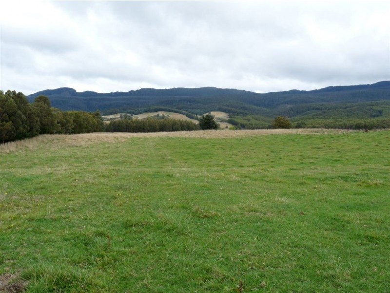 - Scotts Road, Mole Creek TAS 7304