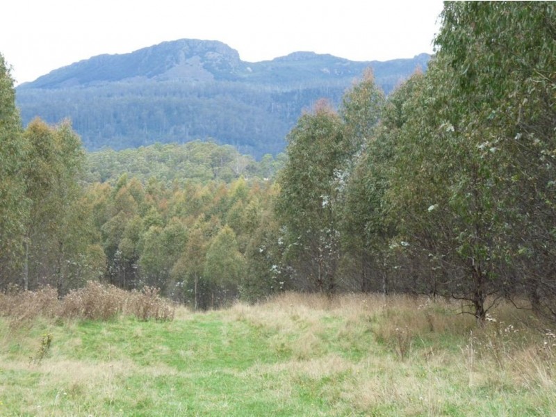 - Scotts Road, Mole Creek TAS 7304