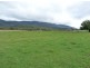 - Scotts Road, Mole Creek TAS 7304
