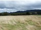 - Scotts Road, Mole Creek TAS 7304