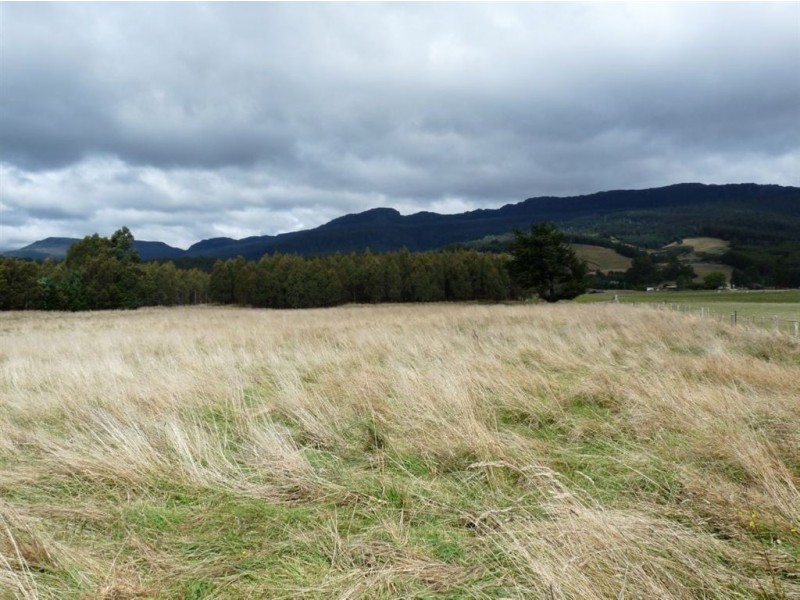- Scotts Road, Mole Creek TAS 7304