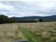 - Scotts Road, Mole Creek TAS 7304