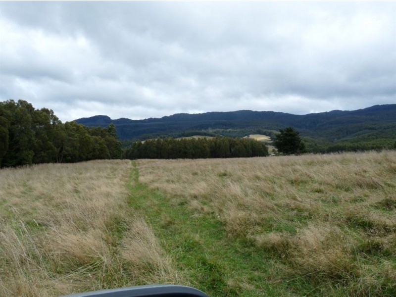 - Scotts Road, Mole Creek TAS 7304