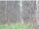 - Scotts Road, Mole Creek TAS 7304