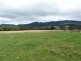 - Scotts Road, Mole Creek TAS 7304