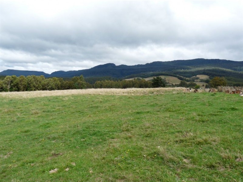 - Scotts Road, Mole Creek TAS 7304
