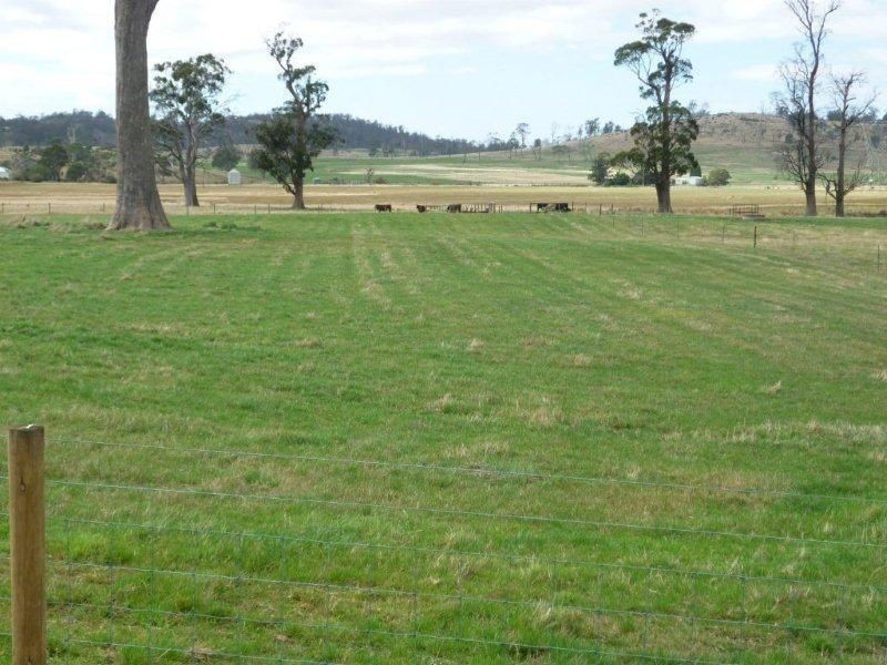 1123 Liffey Road, Liffey TAS 7301