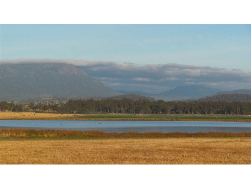510 Saundridge Road, Cressy TAS 7302