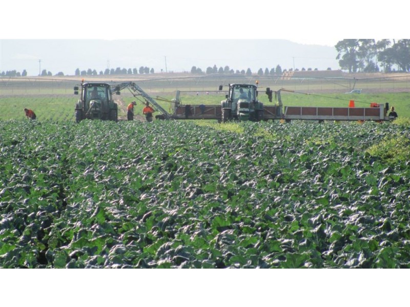 510 Saundridge Road, Cressy TAS 7302