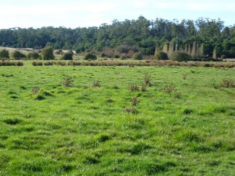 Lot 1 Liffey Road, Blackwood Creek TAS 7301