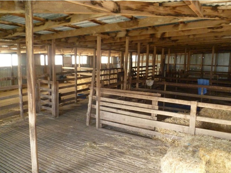 Lot 1 Liffey Road, Blackwood Creek TAS 7301