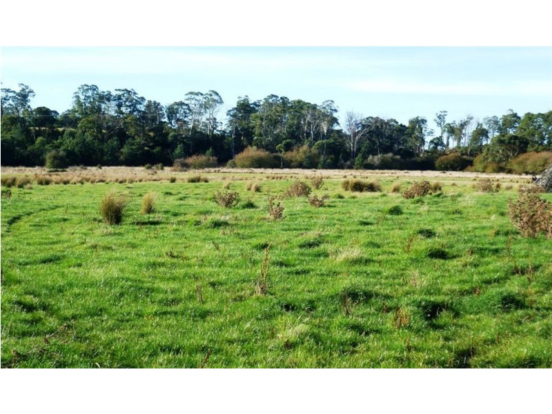 Lot 1 Liffey Road, Blackwood Creek TAS 7301