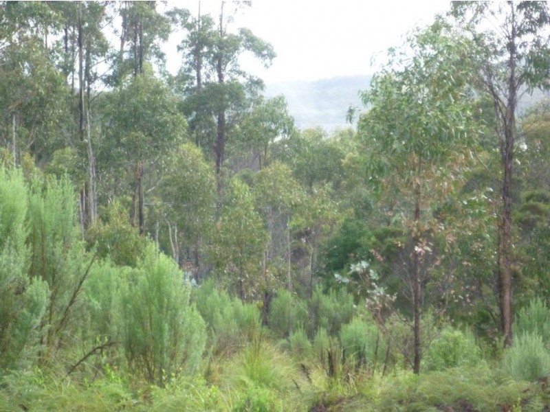 Lot 4 Curries River Dam, Bridport Road, George Town TAS 7253