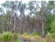 Lot 4 Curries River Dam, Bridport Road, George Town TAS 7253