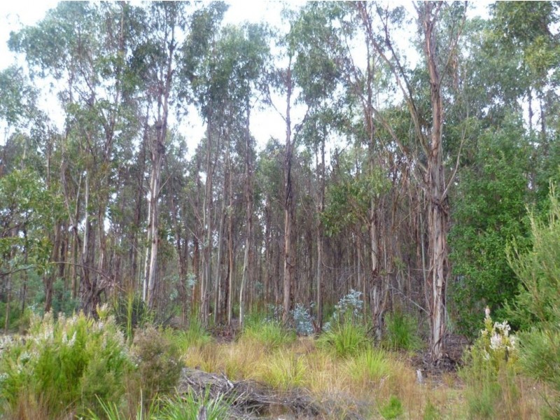 Lot 4 Curries River Dam, Bridport Road, George Town TAS 7253