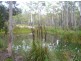 Lot 4 Curries River Dam, Bridport Road, George Town TAS 7253