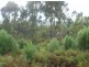 Lot 4 Curries River Dam, Bridport Road, George Town TAS 7253