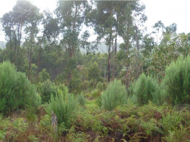 Lot 4 Curries River Dam, Bridport Road, George Town TAS 7253