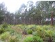 Lot 4 Curries River Dam, Bridport Road, George Town TAS 7253