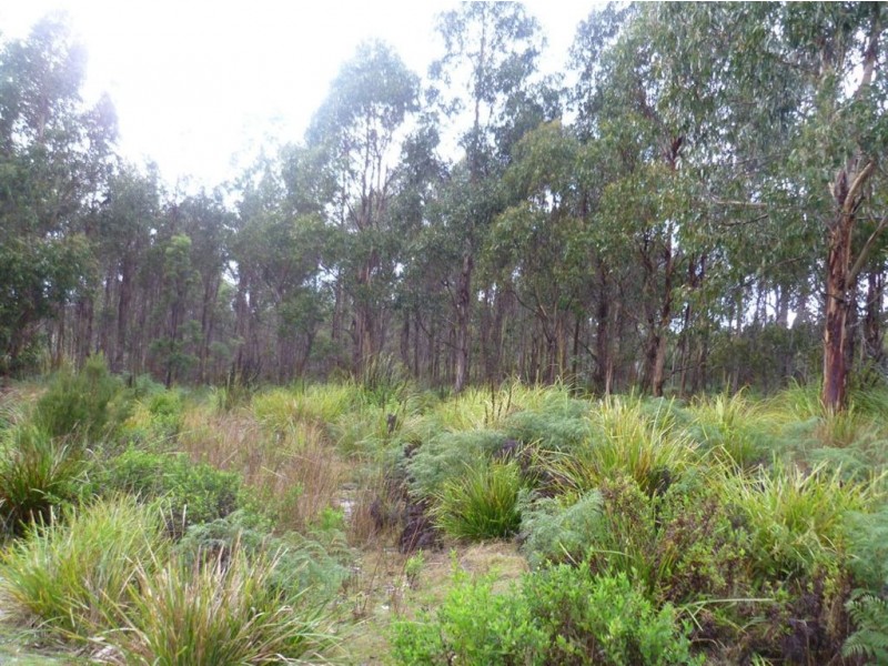 Lot 4 Curries River Dam, Bridport Road, George Town TAS 7253