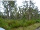 Lot 4 Curries River Dam, Bridport Road, George Town TAS 7253