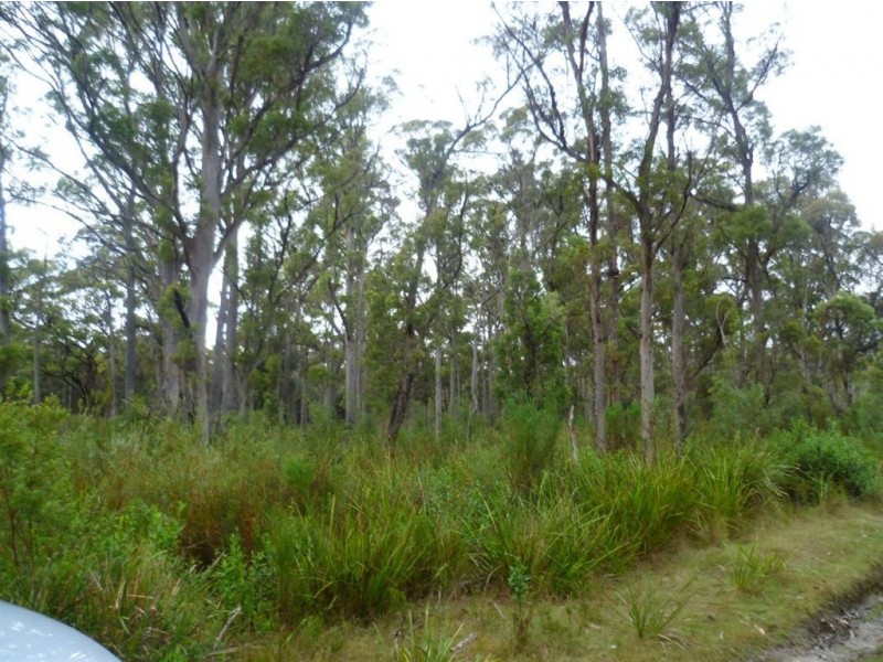 Lot 4 Curries River Dam, Bridport Road, George Town TAS 7253