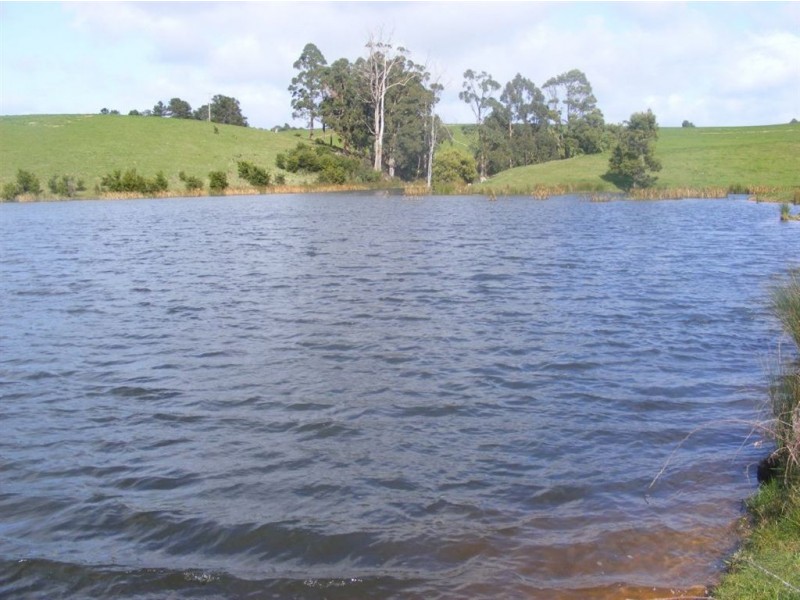 957 Mount Hicks Road, Mount Hicks TAS 7325