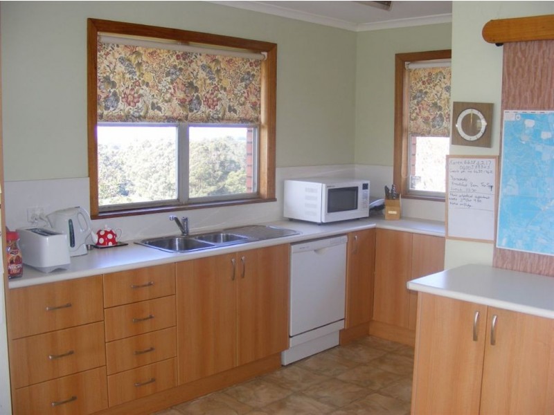 957 Mount Hicks Road, Mount Hicks TAS 7325
