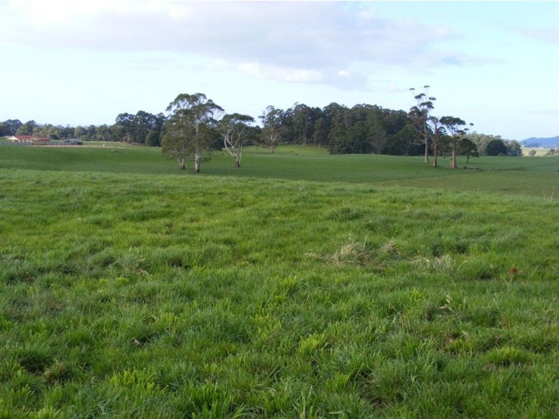 101 Lottah Road, Natone TAS 7321
