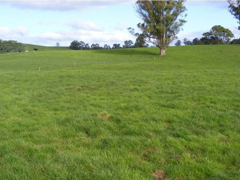 101 Lottah Road, Natone TAS 7321