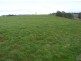 101 Lottah Road, Natone TAS 7321