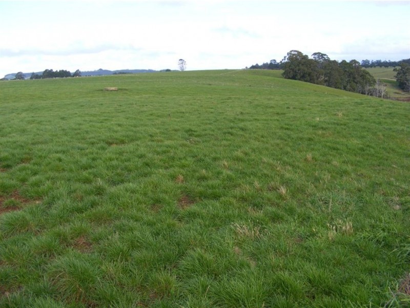 101 Lottah Road, Natone TAS 7321