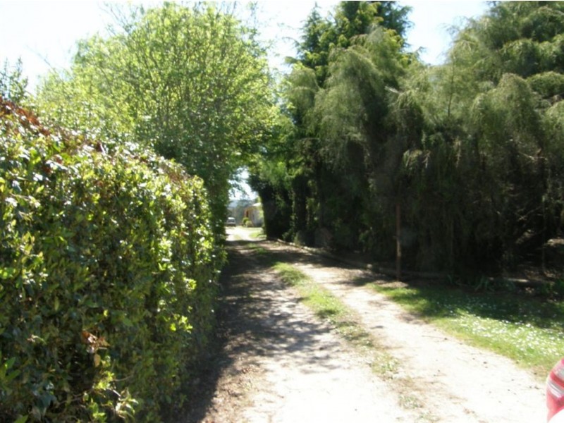 33152 Tasman Highway, Legerwood TAS 7263