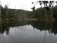 33152 Tasman Highway, Legerwood TAS 7263