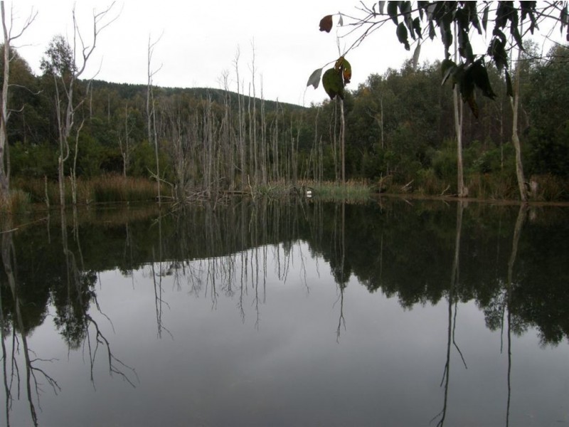33152 Tasman Highway, Legerwood TAS 7263
